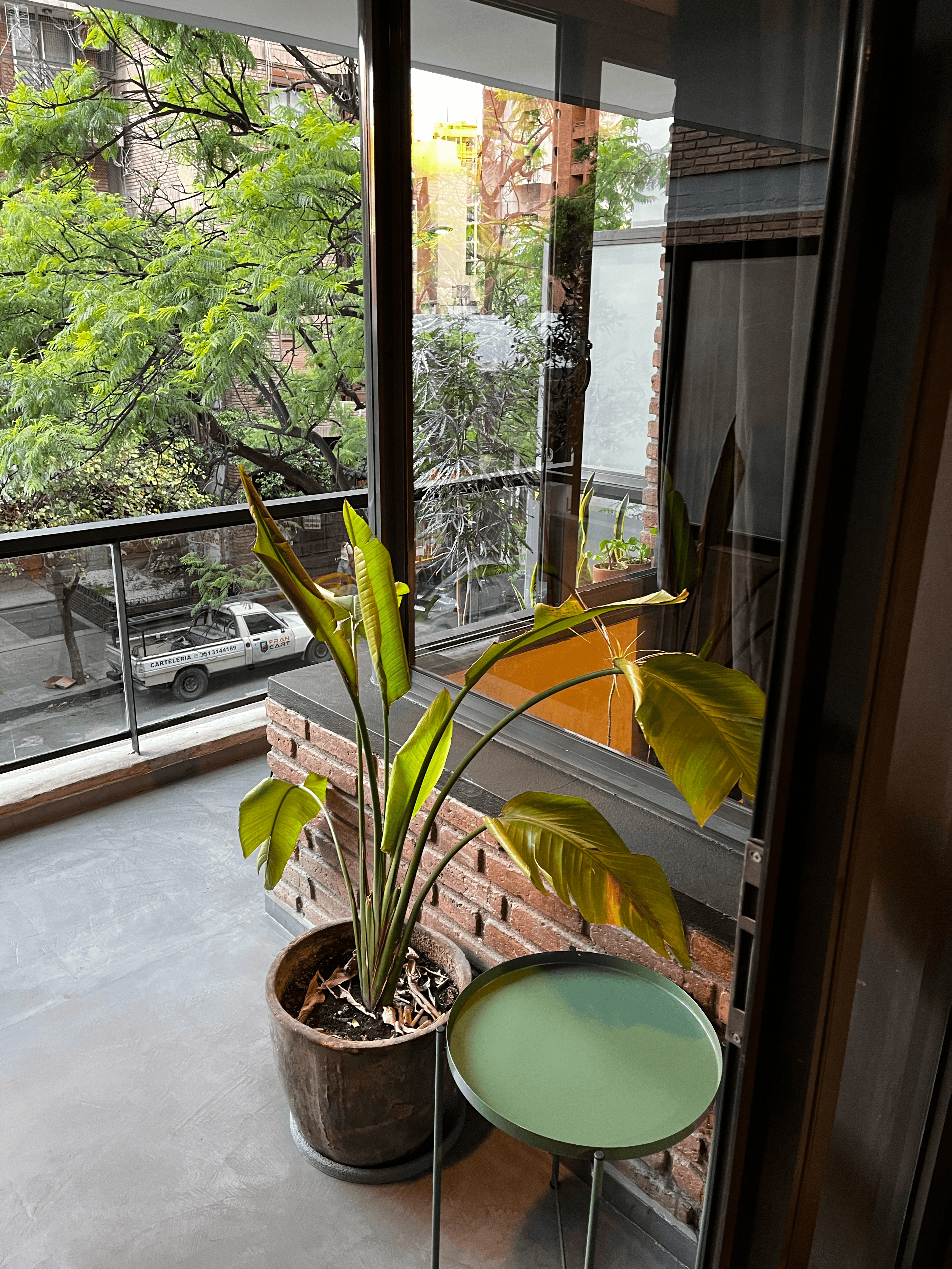 Balcón con plantas tropicales y vista arbolada